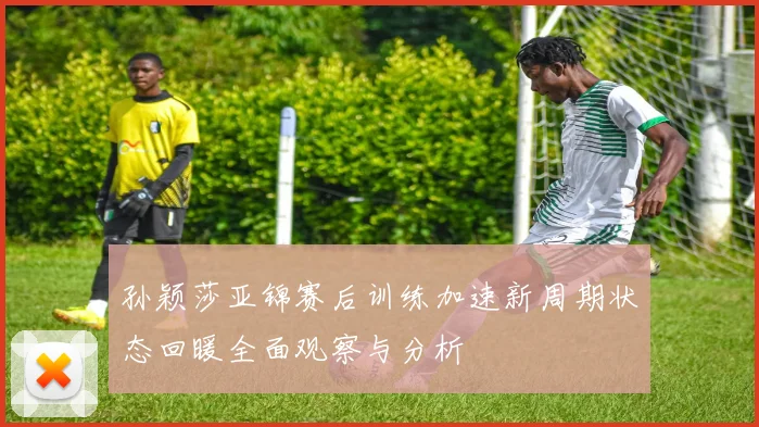 孙颖莎亚锦赛后训练加速新周期状态回暖全面观察与分析